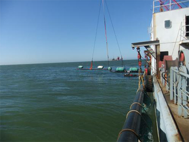 膨脹彎安裝 膨脹彎(wān)安裝