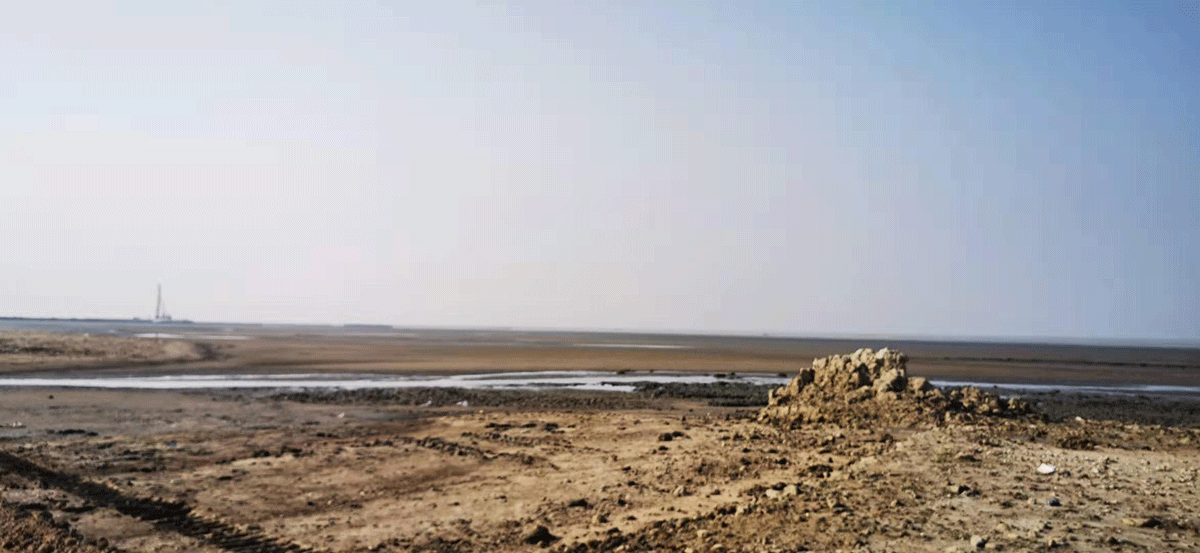 我司領導赴孟加（jiā）拉考察海工市場