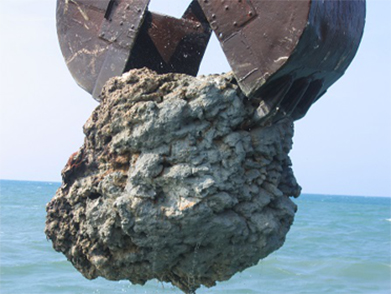 印度尼西亞（yà）SES海管預挖溝項目（2005-2006年--中海油）