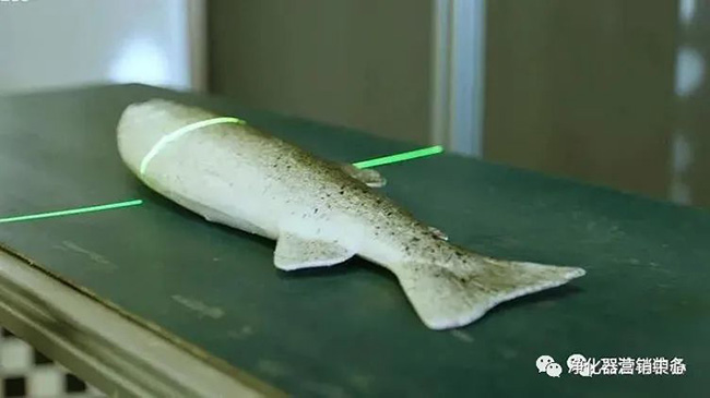 前沿技術 | “蛇形機（jī）器人（rén）”修複（fù）海底管道