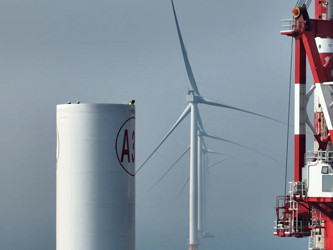 全國首個海上（shàng）風電與海洋牧場融合發展研究試驗項（xiàng）目首批機組並（bìng）網發（fā）電