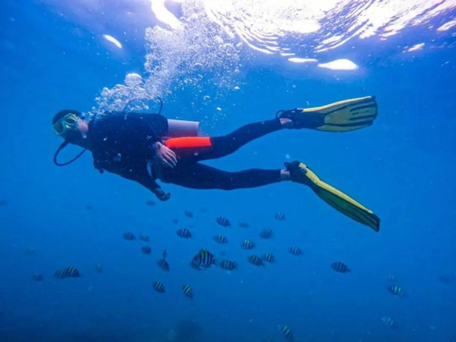 石油公司也“出圈”？將海（hǎi）上（shàng）石油平台變身主題公園