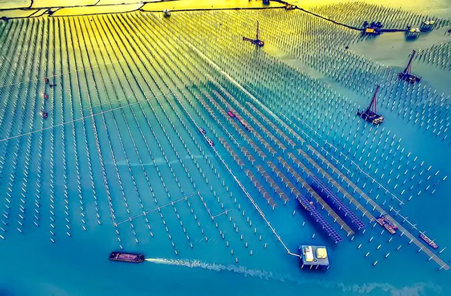 海（hǎi）上（shàng）光（guāng）伏產業，能盈利（lì）嗎？