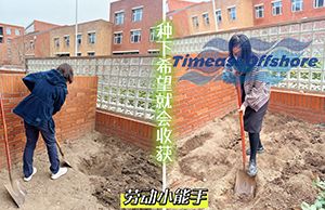 “植”此青綠  共沐春光