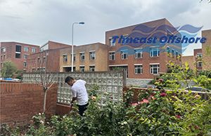 不負秋（qiū）意（yì）好時光，向日葵视频官网小院兒正忙