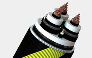 科普丨什麽是風電電纜？