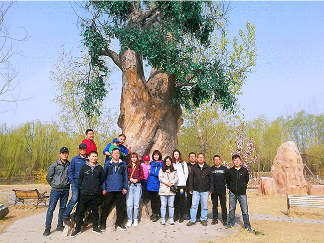 北國江南——楊柳青莊園之旅
