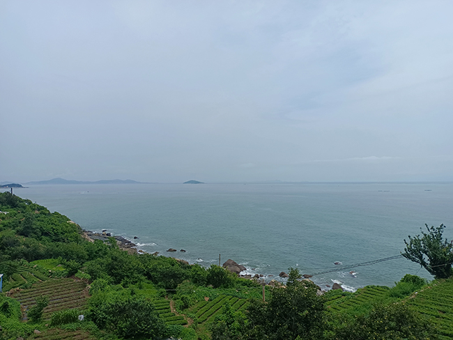 保持熱愛（ài），奔赴山（shān）海——青島項目慰問觀（guān）光之旅