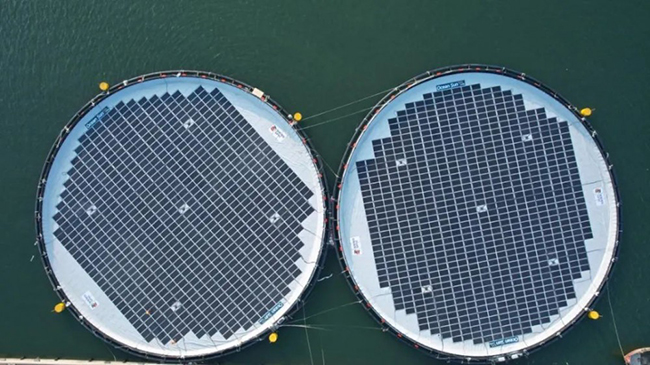 全（quán）球首個！國家電投山（shān）東（dōng）分公司深遠海風光同場漂浮（fú）式光伏項目發出第一度（dù）電