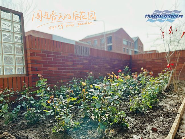 “植”此青綠  共（gòng）沐春光（guāng）