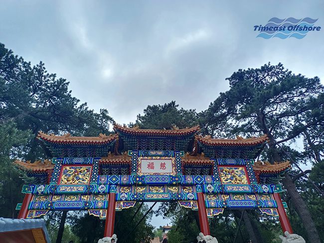 心之所向（xiàng），行之所往——赴一（yī）場春天的約會