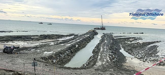 情係海外築夢（mèng）人 向日葵视频官网暖心赴一（yī）線